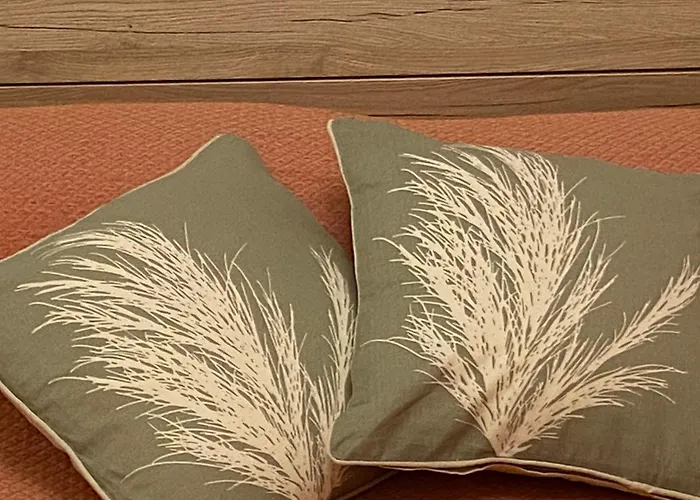 住宿加早餐酒店 Assaje Guestroom 奧爾比亞